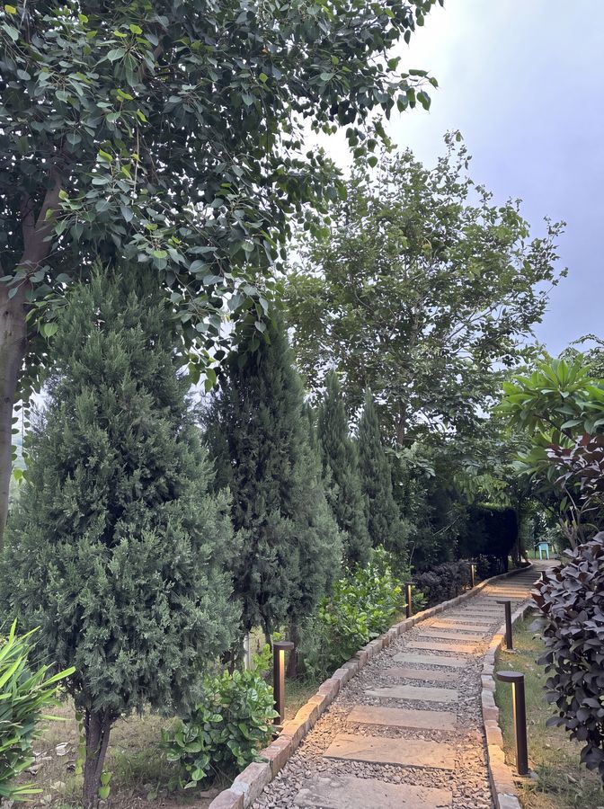 Conifer walk — Low bollard lighting along a stone path
