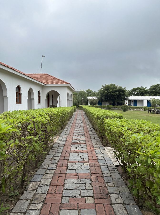Institutional grounds — Clipped hedge avenue and a brick-and-stone walk