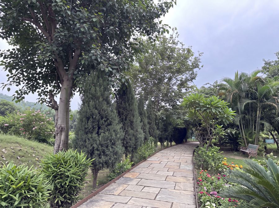 Landscaped promenade — Avenue trees, conifers and seasonal beds