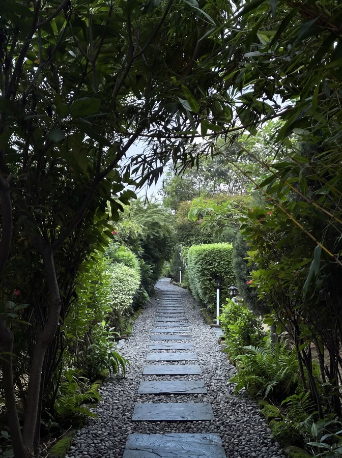 Garden walk — Stone stepping path through bamboo and hedging