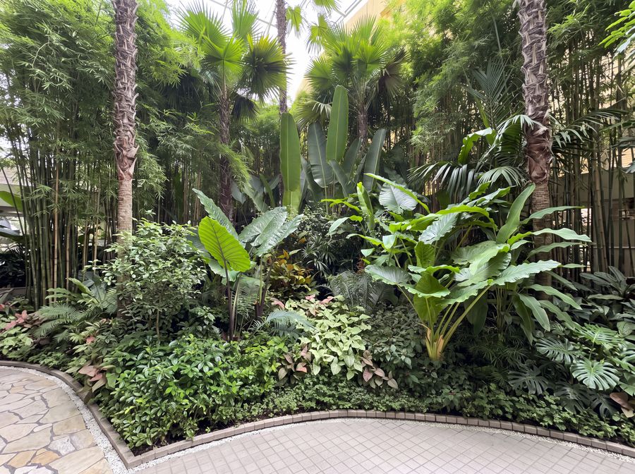 Tropical courtyard