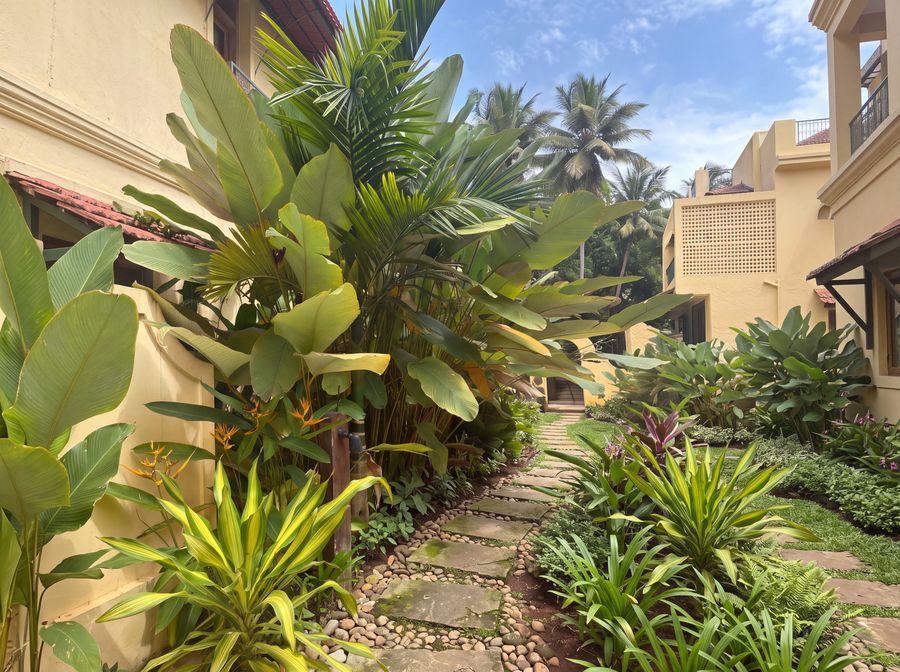 Villa side garden — Heliconia, palms and a stone path